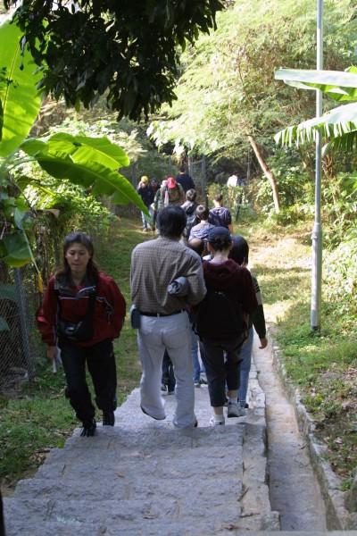 IMG_6597.jpg