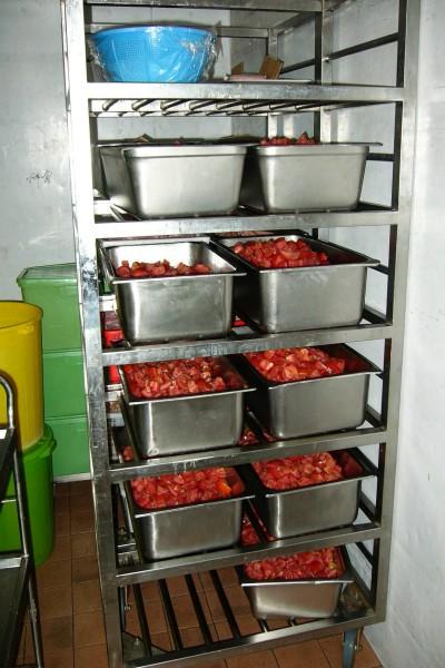 04.jpg