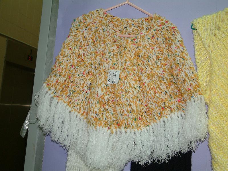 DSCF0037.JPG