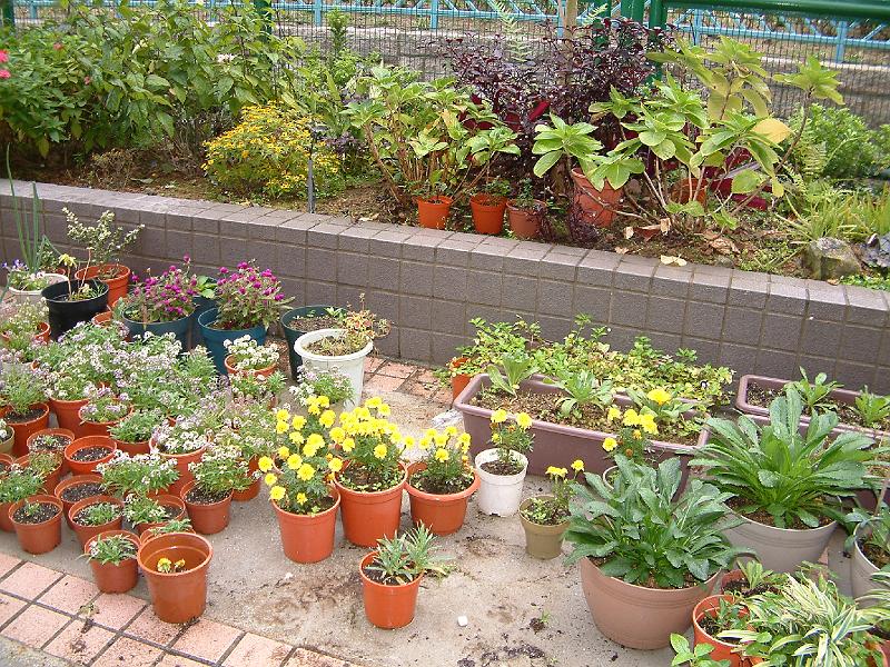 DSCF0003.JPG