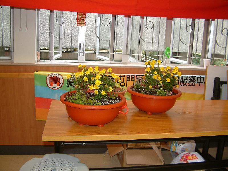 DSCF0003.JPG
