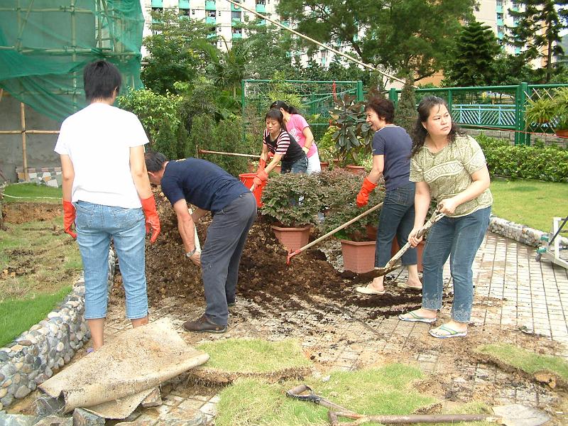 DSCF0006.JPG