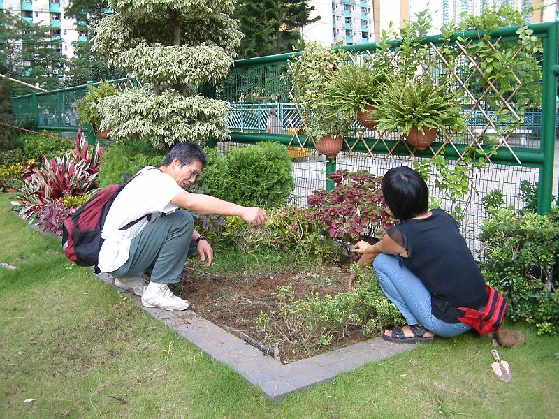 DSCF0047.JPG