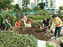 DSCF0029
