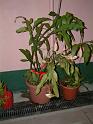 DSCF0349