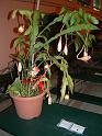 DSCF0352