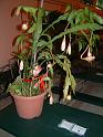 DSCF0353
