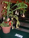 DSCF0354