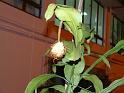 DSCF0364