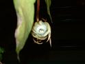 DSCF0377