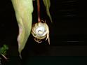 DSCF0378