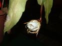 DSCF0392