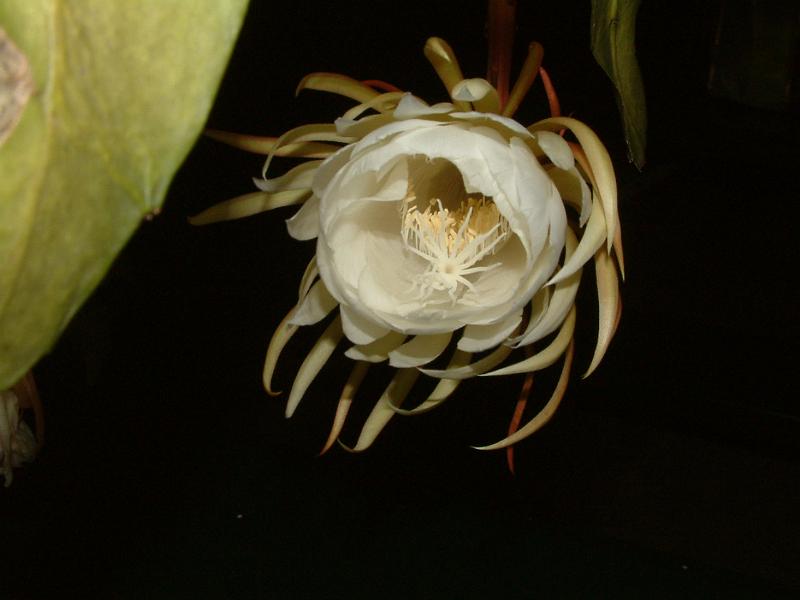 DSCF0449.JPG