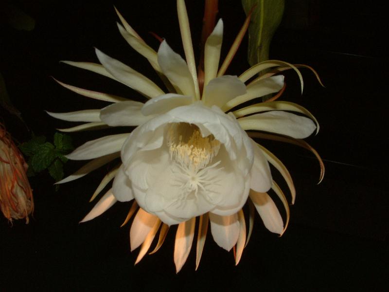 DSCF0549.JPG