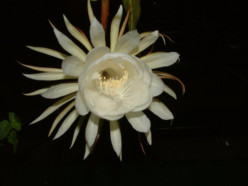 DSCF0553.JPG