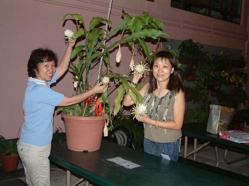 DSCF0491.JPG