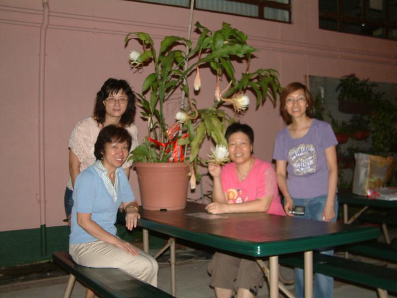 DSCF0494.JPG