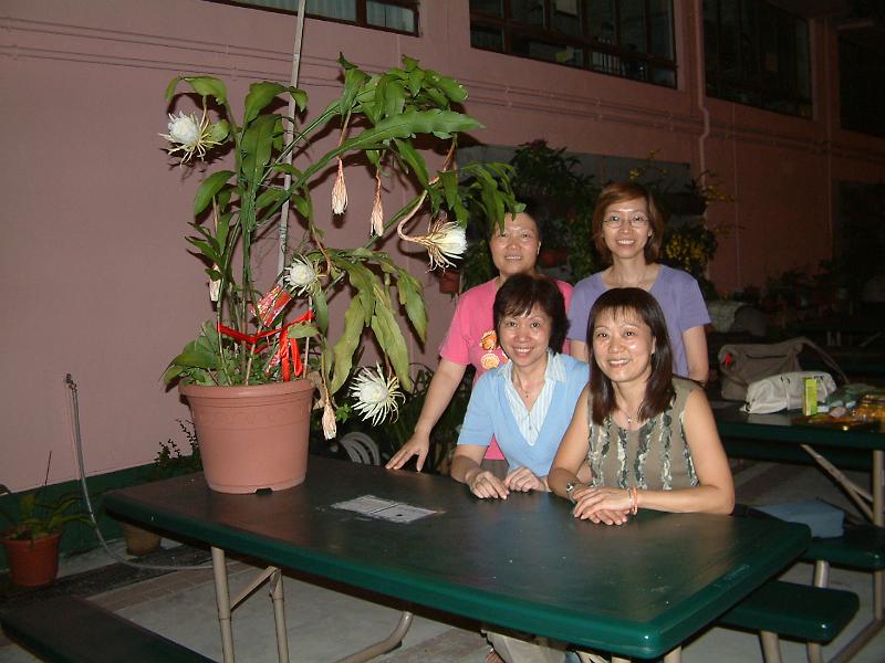 DSCF0532.JPG