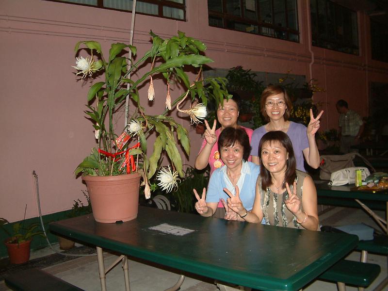 DSCF0533.JPG