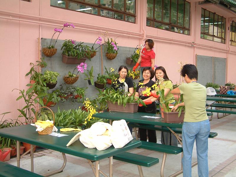 DSCF0048.JPG