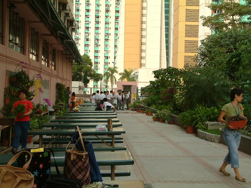 DSCF0037.JPG