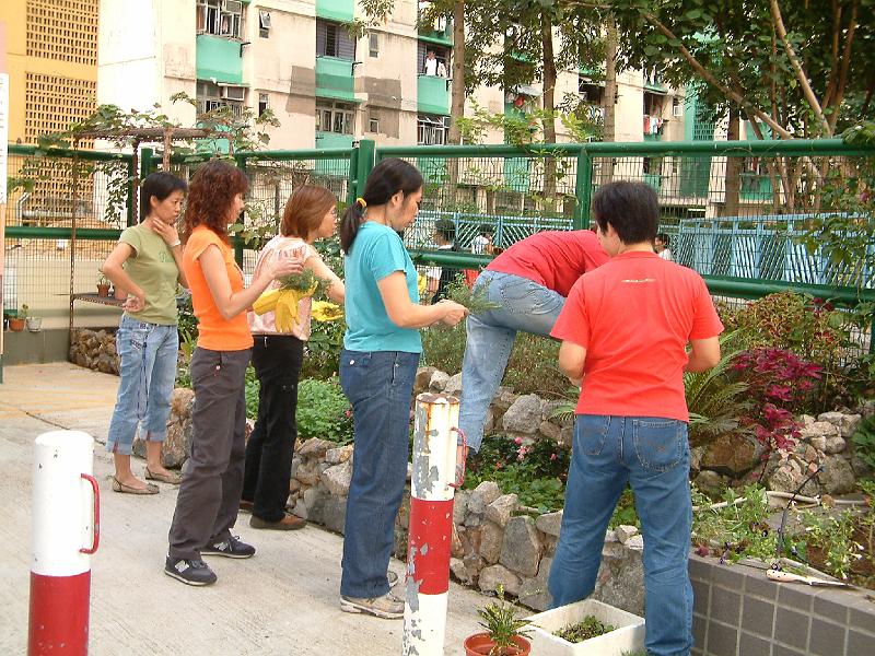 DSCF0091.JPG