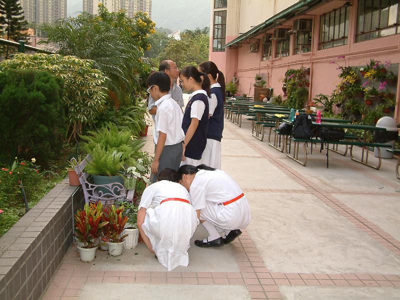 DSCF0095.JPG