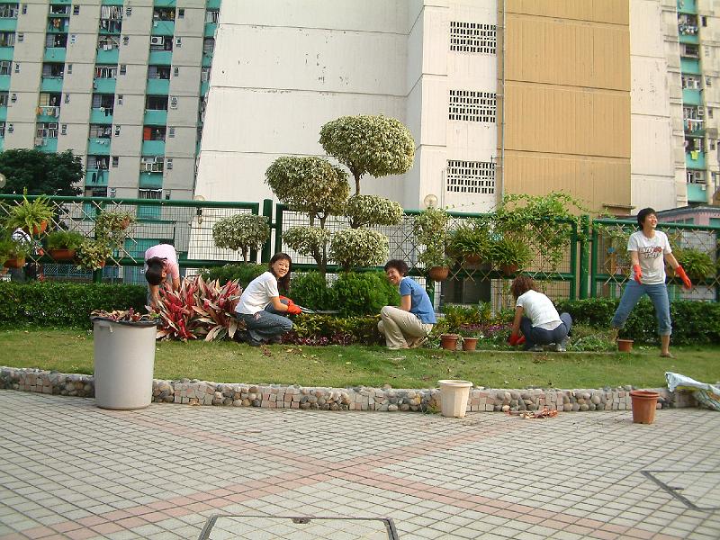 DSCF0058.JPG