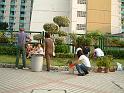 DSCF0049