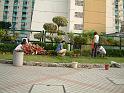 DSCF0056