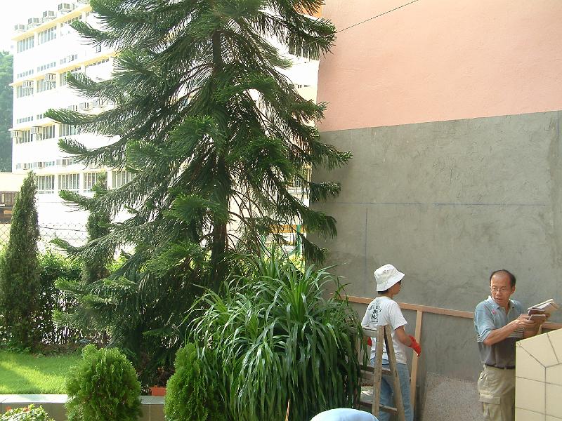DSCF0087.JPG