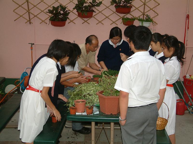 DSCF0003.JPG