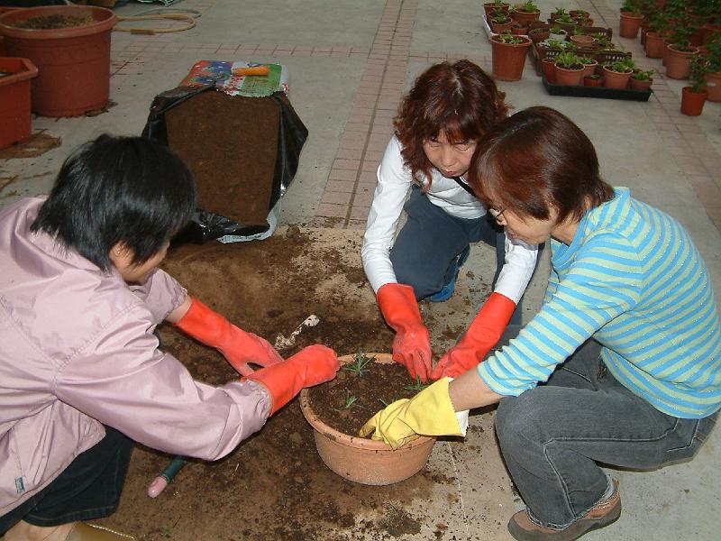 DSCF0012.JPG