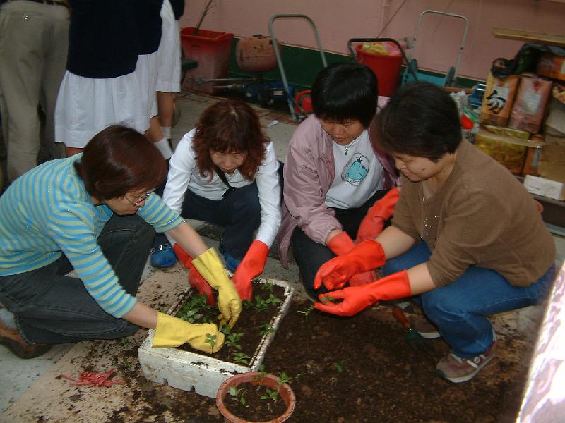 DSCF0016.JPG