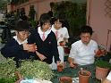 DSCF0017