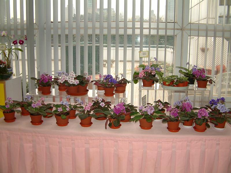 DSCF0067.JPG