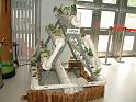DSCF0065