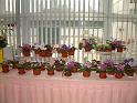 DSCF0067