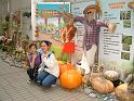 DSCF0092