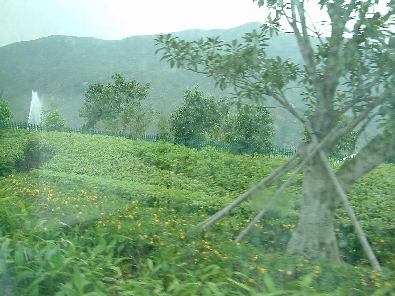 DSCF0122.JPG