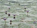 DSCF0071