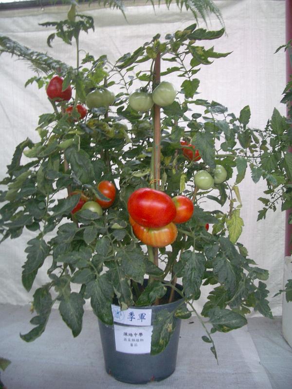 IMGP2813.JPG