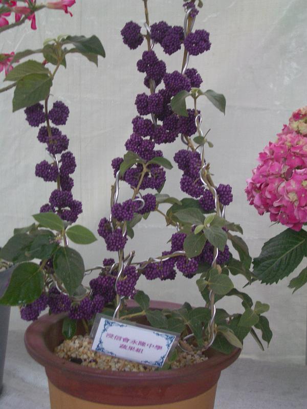 IMGP2819.JPG