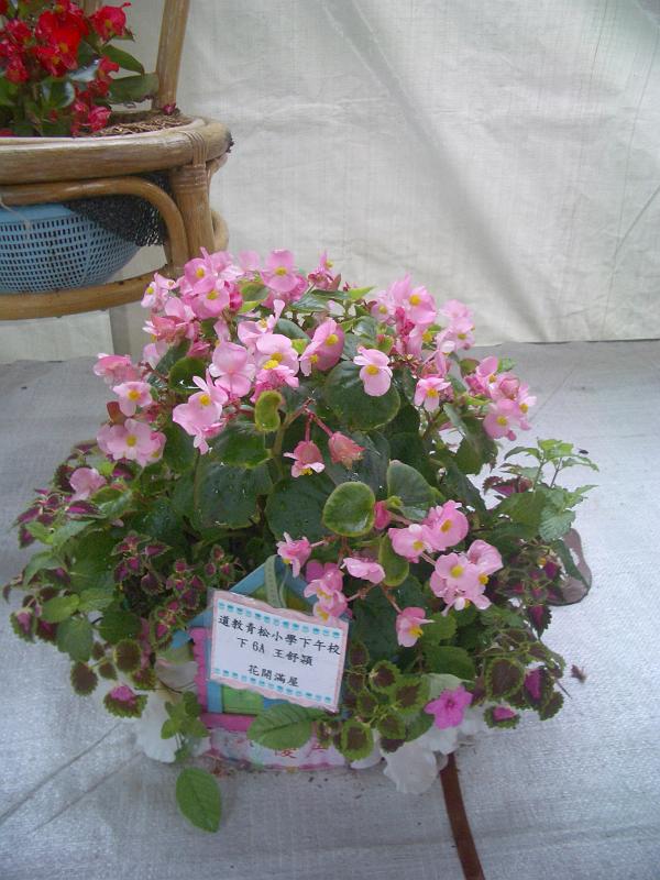 IMGP2828.JPG