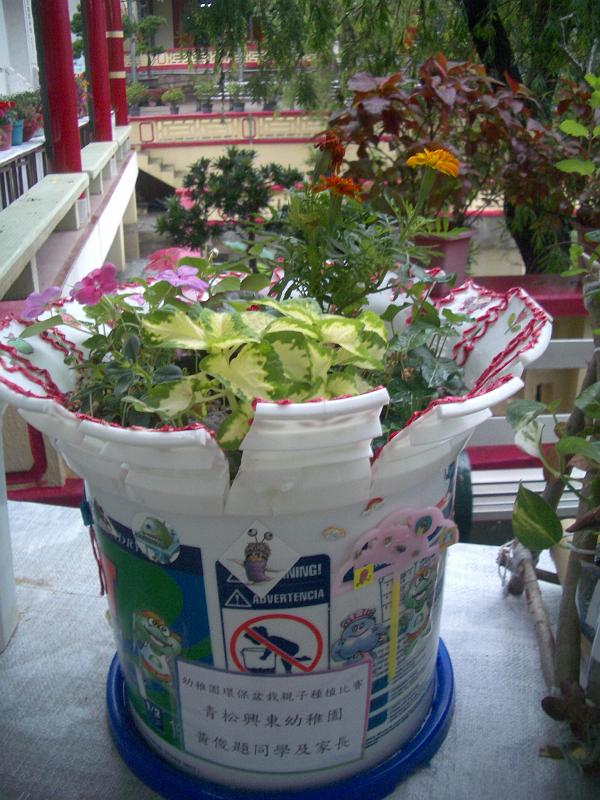 IMGP2868.JPG