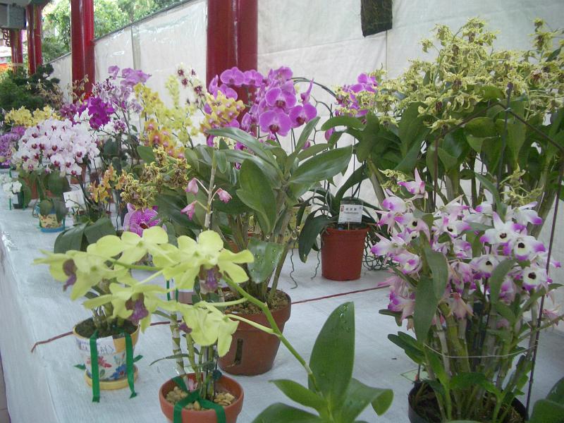 IMGP2870.JPG
