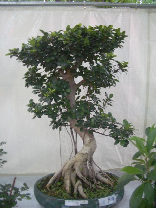 IMGP2876.JPG