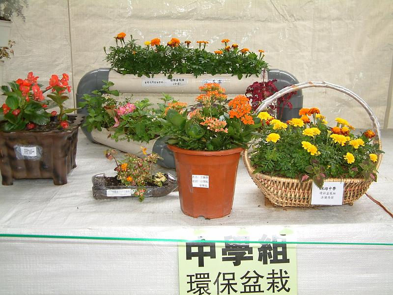 DSCF0347.JPG