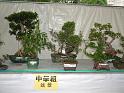 DSCF0357