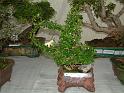DSCF0364